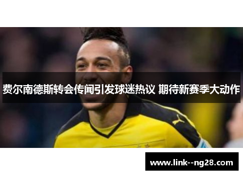 费尔南德斯转会传闻引发球迷热议 期待新赛季大动作