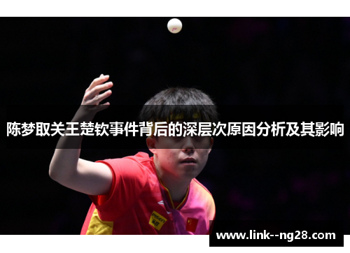陈梦取关王楚钦事件背后的深层次原因分析及其影响