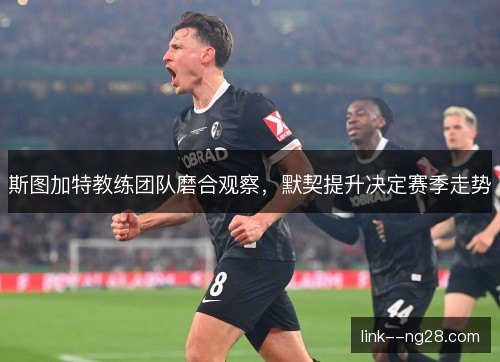 斯图加特教练团队磨合观察,默契提升决定赛季走势 斯图加特教练团队磨合观察,默契提升决定赛季走势